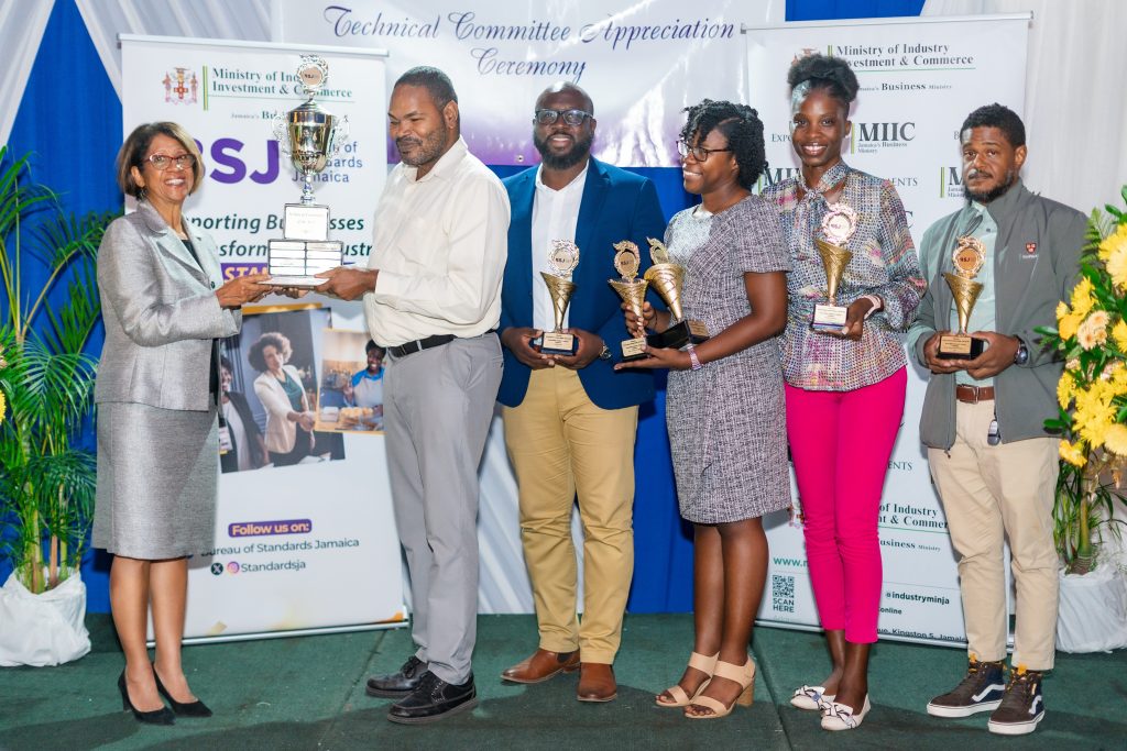 1st Place Winner - Accessibility Standard TC